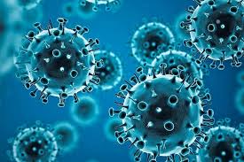 Navigating COVID-19 in Winter 2024: Insights from CDC Data