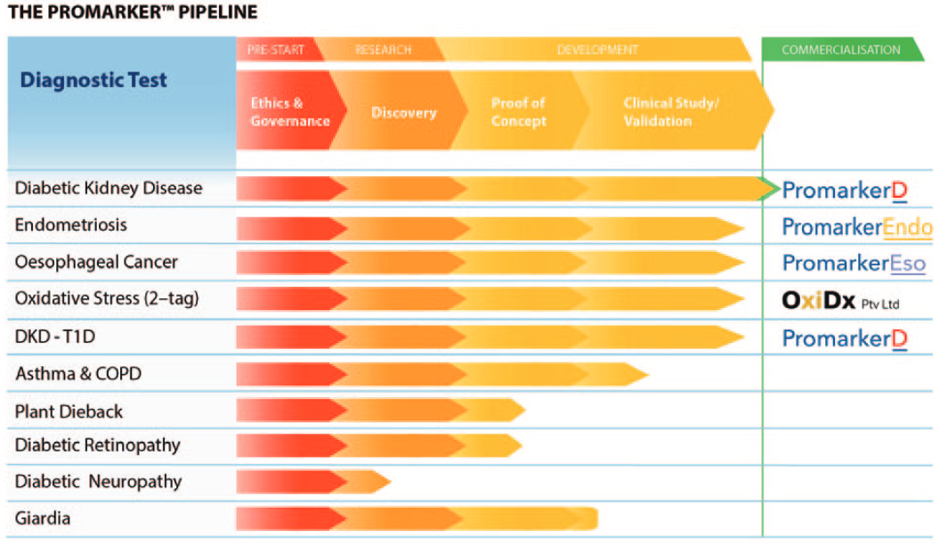 Proteomics (ASX:PIQ) Shareholders Should Brace Themselves in 2025